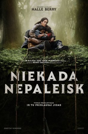Niekada nepaleisk Online