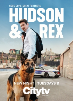Hudsonas ir Reksas 2 sezonas Online